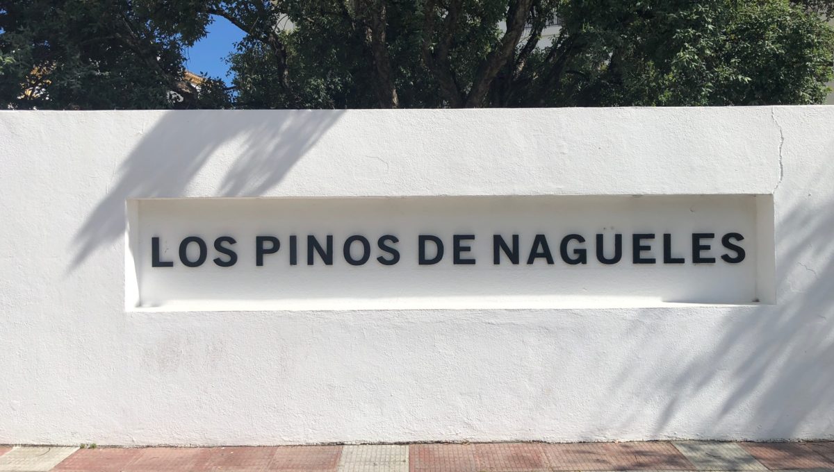 lovely-apartment-with-open-sea-views-in-nagueles-img_8979